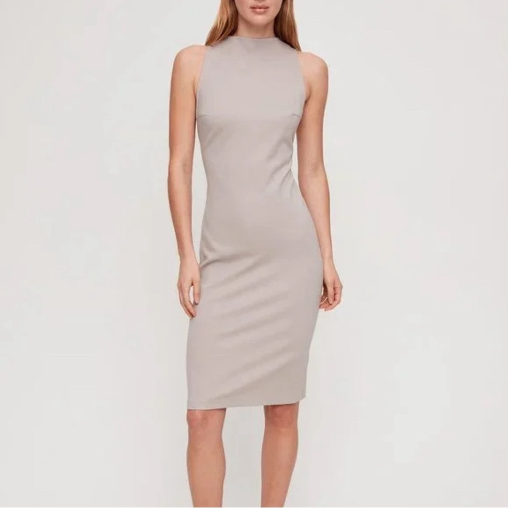 Aritzia Babaton Matheson Dress